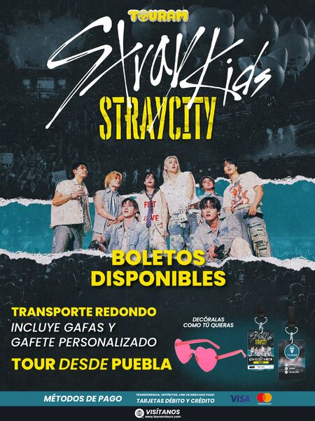 Stray Kids