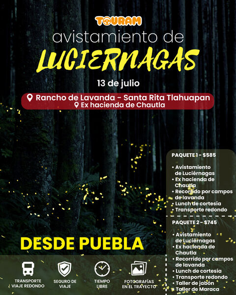 Avistamiento de Luciérnagas