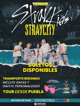 Stray Kids