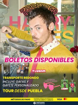 Harry Styles