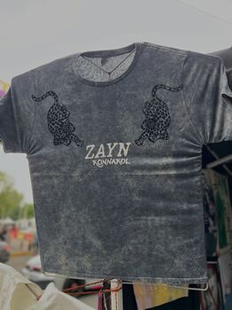 Zayn (Concierto)