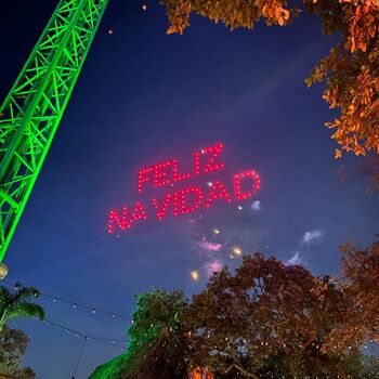 Christmas in The Park (Six Flags)