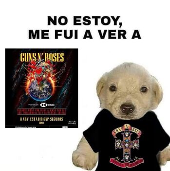Guns N´ Roses (Concierto)