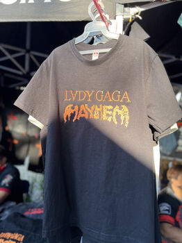 Lady Gaga (Concierto)