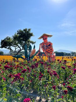 Atlixco + Val´Quirico (Día de Muertos)