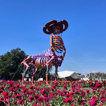 Valle de las Catrinas (Atlixco)