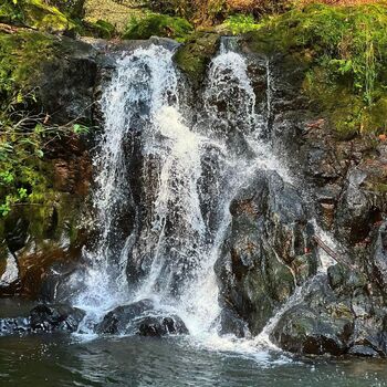 Cascadas Paraíso (Honey)